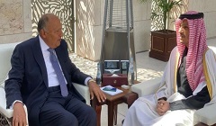 Egypt_Qatar_FMs.jpg