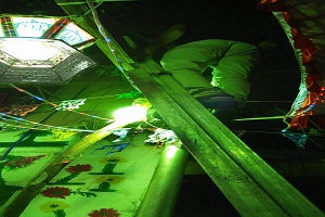 mosky m3.jpg (1)