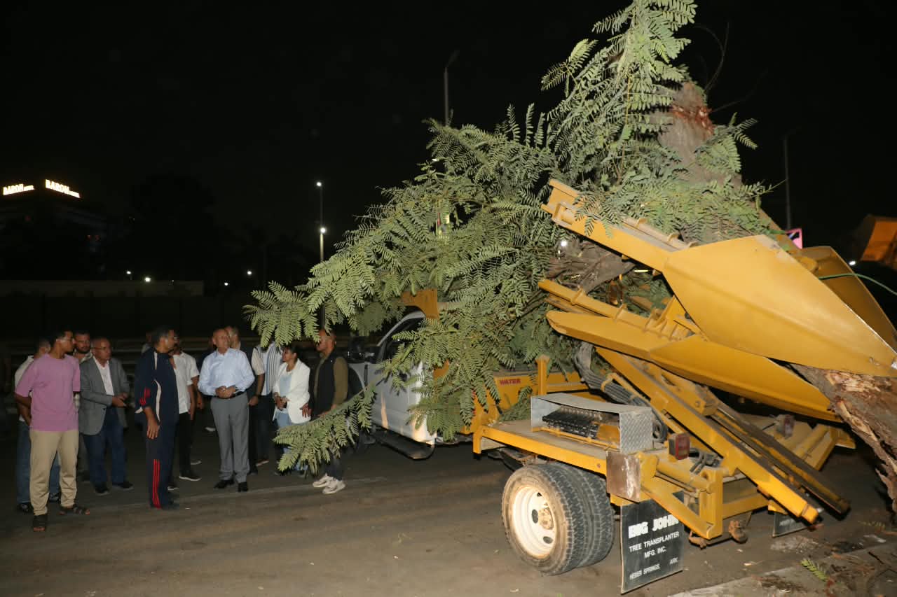 Gov Tree