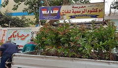 استكمال الزراعة بداخل المدارس بالاشجار المثمرة