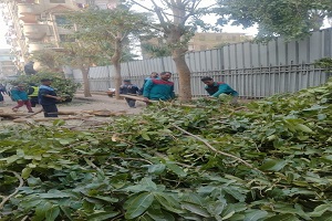 bab_alsha3rya_jan2.jpg (3)