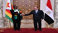 Sisi_Zimbabwean.jpg