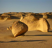 محميات طبيعية