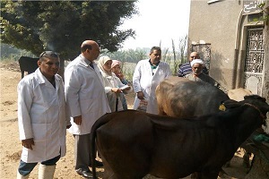 hamla kawmia.jpg
