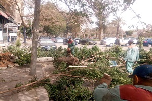 تطوير وصيانة المسطحات الخضراء بحي مصر الجديدة