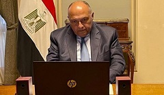 Egypt_FM_Italian_senator.jpg