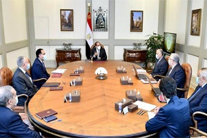 president_sisi_success_of_irrigation_system.jpg