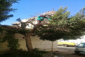 abdeen DEC10.jpg