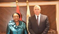 Egypt_Guinea_mull.jpg
