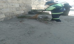 HKLEFA31.8.jpg