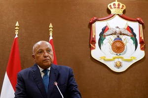Sameh-Shoukry_foreign_minister.jpg