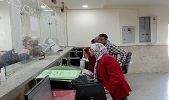 tpeen14.11.jpg