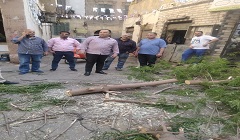 إزالة شجرة ساقطة بشارع قرة علي