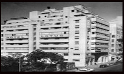 Lotus Hotel 