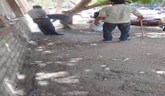 رفع كفاءة الشوارع  بنطاق الحي
