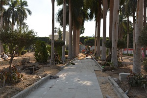 mouhafez555.jpg