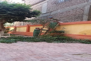 متابعة الاعمال اليومية بالحي 