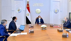 president_sisi_meeting.jpg (3)