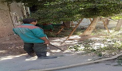 الاهتمام بالمساحات الخضراءبنطاق الحى