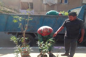 زراعة أشجار وشتلات بمربعات أطلس 2