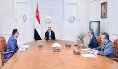 President_Sisi_digital_strategy.jpeg