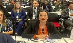 Egypt_COP16.jpg