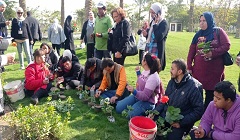 mat7af_al7adara_zw_elhmm.jpg