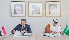 Egypt_Saudi_Arabia.jpg (2)