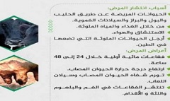 hlwan18.11.jpg
