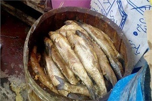 samak.jpg