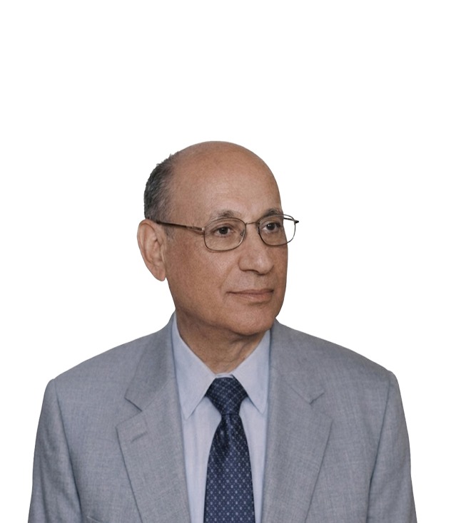 Mr Mahmoud Sherif