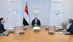 Sisi_digilians.jpeg