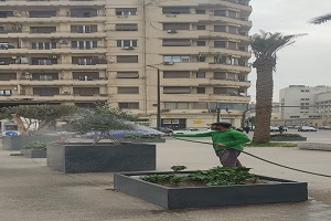 رفع كفاءة أحواض المزروعات بميدان التحرير