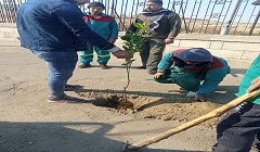 متابعة اعمال الزراعة بمركز صحة الجبرتي