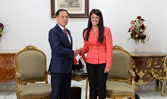 Planning_Minister_Vietnamese_deputy.jpeg