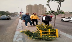 haiat14.jpg