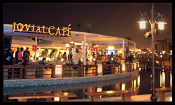 Govial Cafe