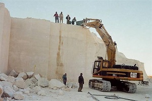 tora888889.jpg