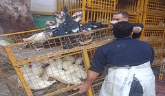 التصدي لظاهرة الاشغالات بنطاق الحي 
