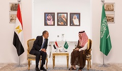 Egypt_Saudi_Arabia.jpg (3)