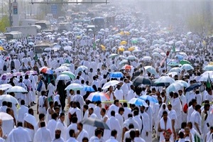 HAJ_23.jpg