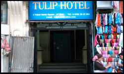 Tulip Hotel