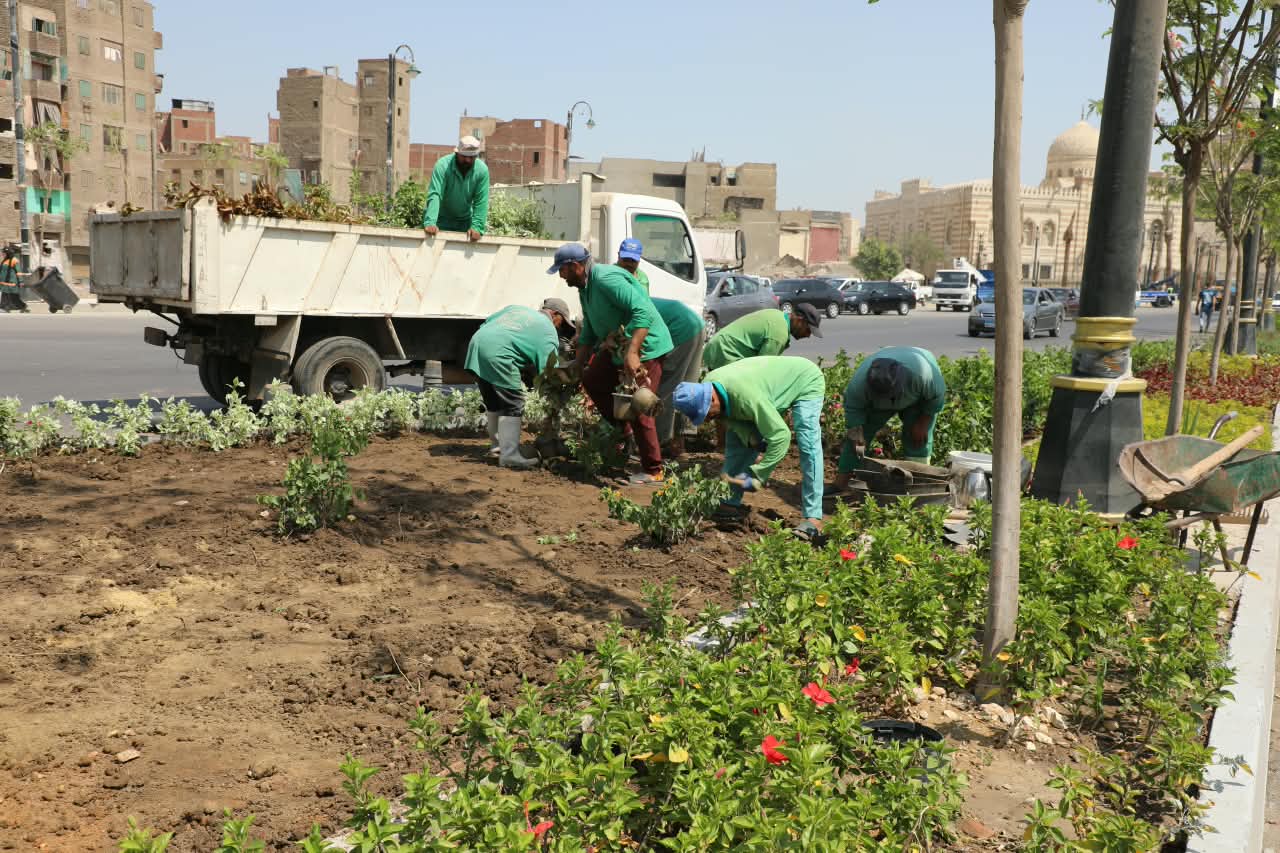 محافظ القاهرة: تنفيذ مبادرة “تخضير القاهرة" لتحسين جودة الهواء وتوفير الظلال 