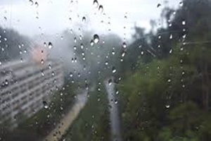 rainfall.jpg