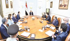 president_sisi_countryside_development.jpg