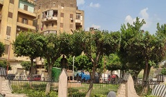 bab_alsha3rya_nov1.jpg (2)