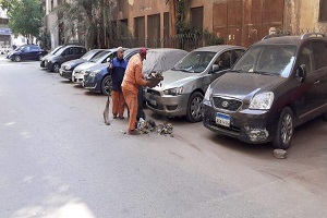 أعمال نظافة بجاردن سيتي