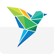 Website Icon