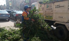 قص وتقليم الأشجار ببعض الشوارع بالحي