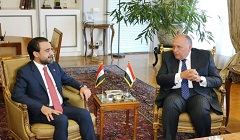 Egyptian_FM_Iraqi_speaker.jpg